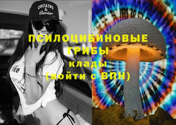 спайс Алексеевка