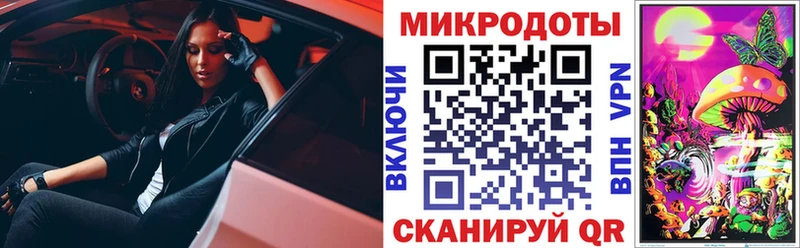 Псилоцибиновые грибы GOLDEN TEACHER  закладки  кракен зеркало  мориарти Telegram  Камешково 